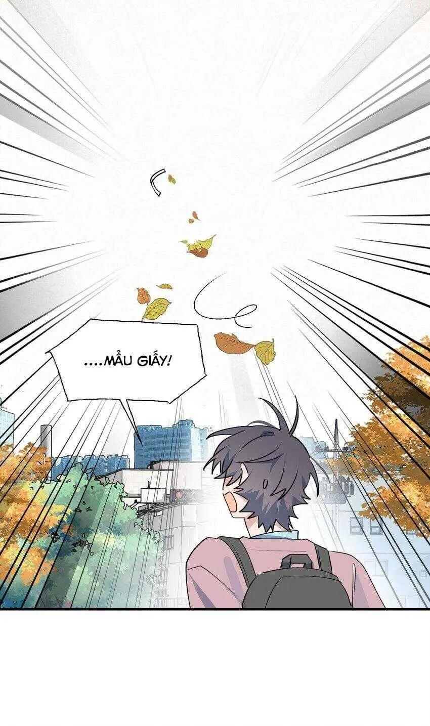 frame-28